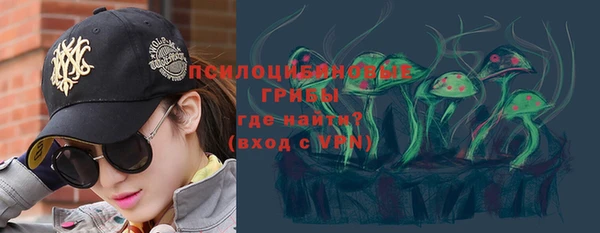 тгк Алзамай