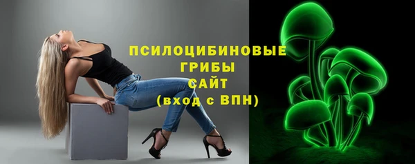 СК Алексеевка