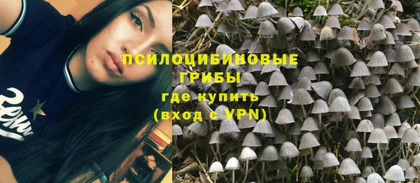СК Алексеевка