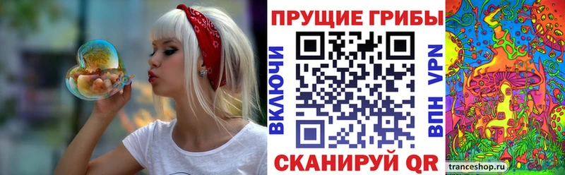 Псилоцибиновые грибы мухоморы  продажа наркотиков  Усть-Катав 